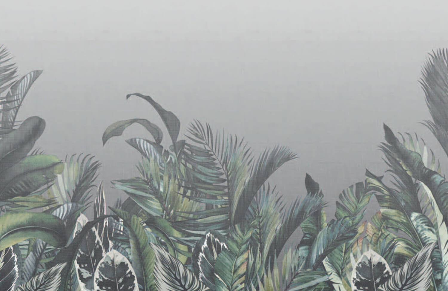Wallpaper